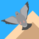 Bird flying off roof